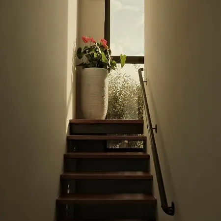 Gardenia, De Luxe Avec Piscine à Débordement *